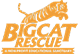 bigcat